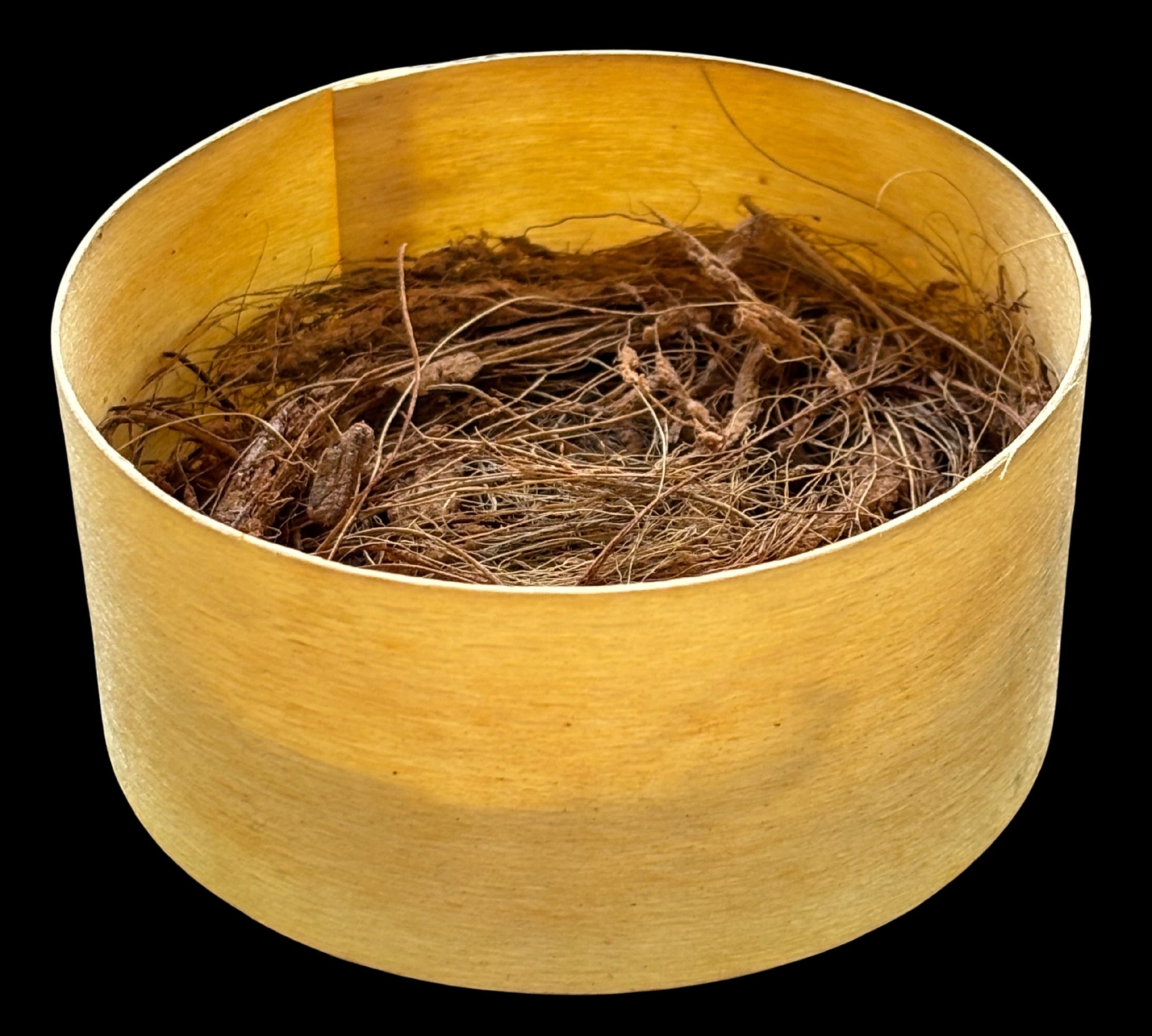 savon pilp koko_fond avec fibre coté