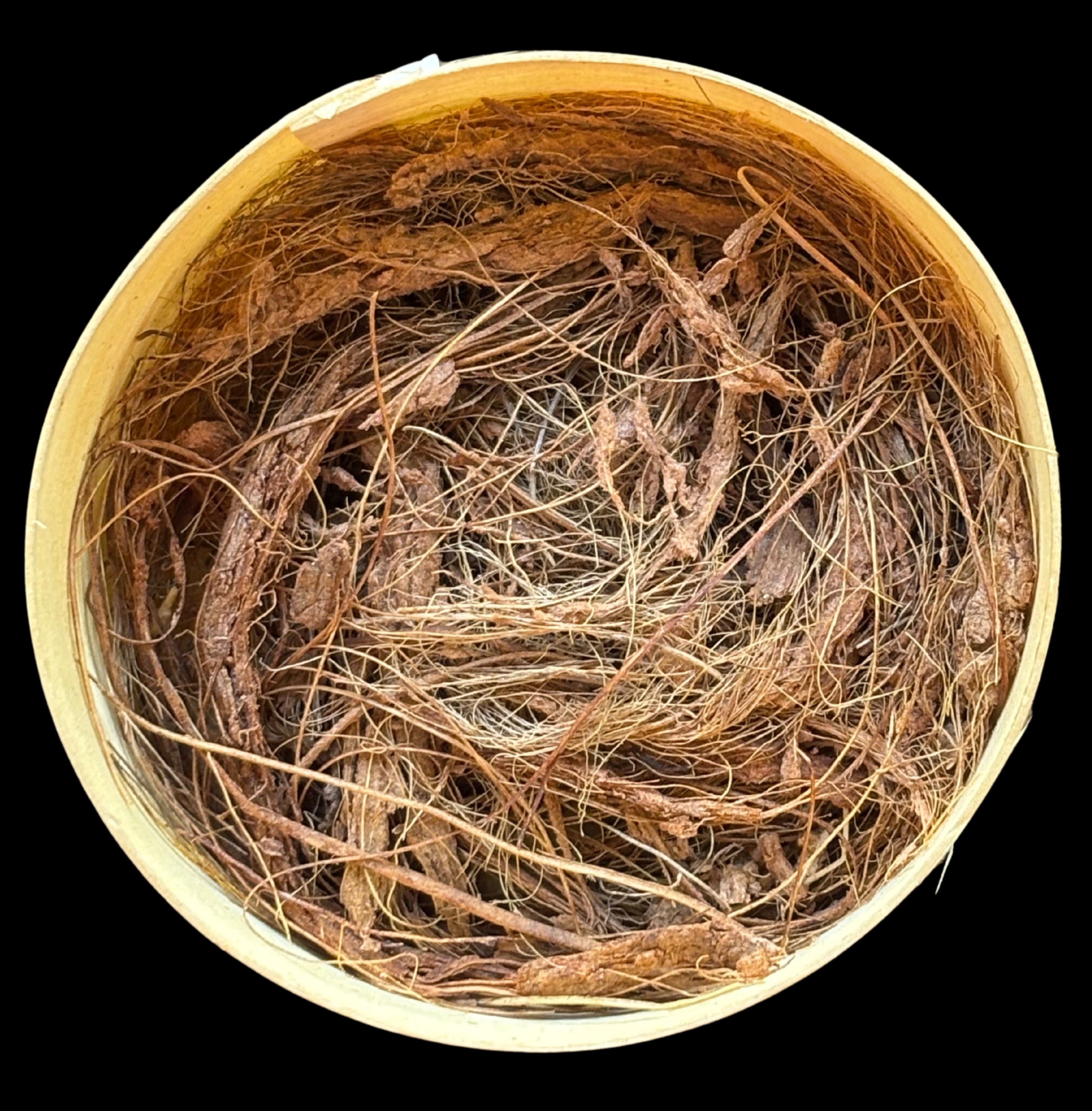 savon pilp koko_fond avec fibre